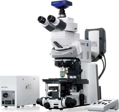 电生理专用显微镜Axio Examiner